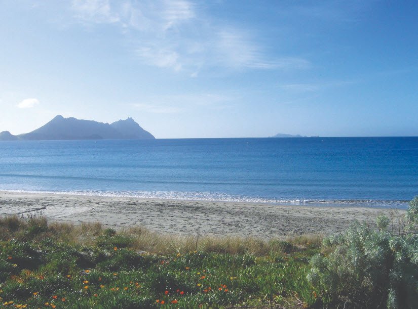 Uretiti Beach, New Zealand